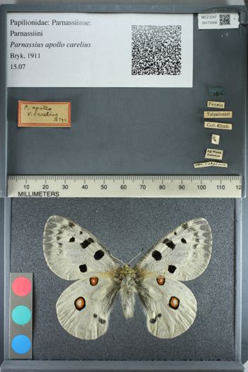 Media type: image;   Entomology 175056
